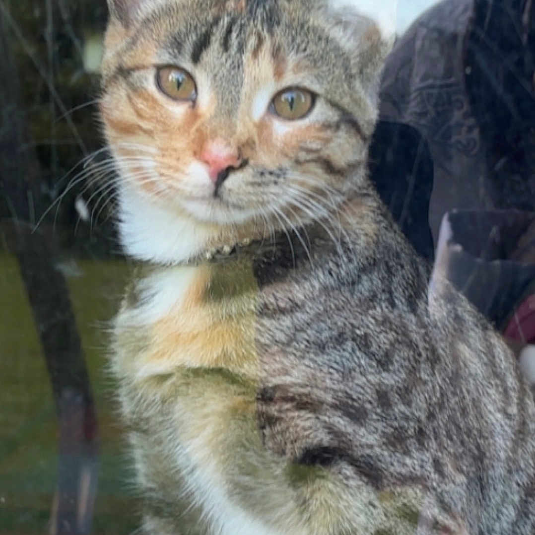 Mayhem
