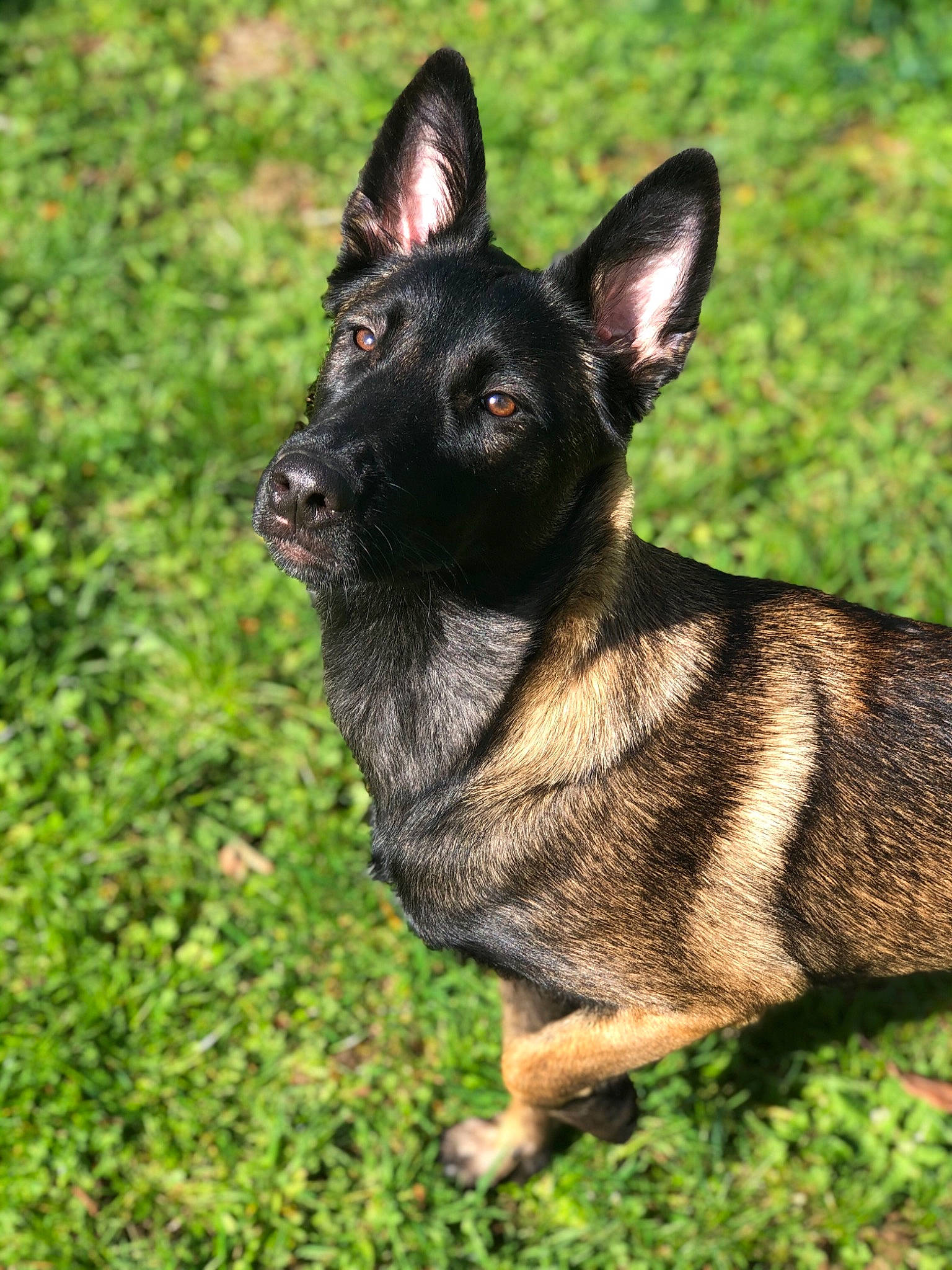 Prada Du Clos De L'Epte