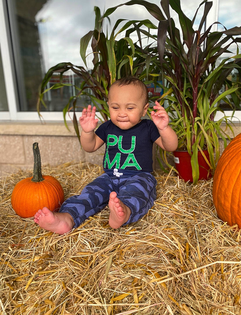 Sebastian joined the competition — help win amazing prizes! _and_melon_family, _gourd, calabaza, child, cucumber, cucurbita, food, fruit, gourd, harvest, hay, local_food, person, plant, produce, pumpkin, squash, straw, toddler, vegetable