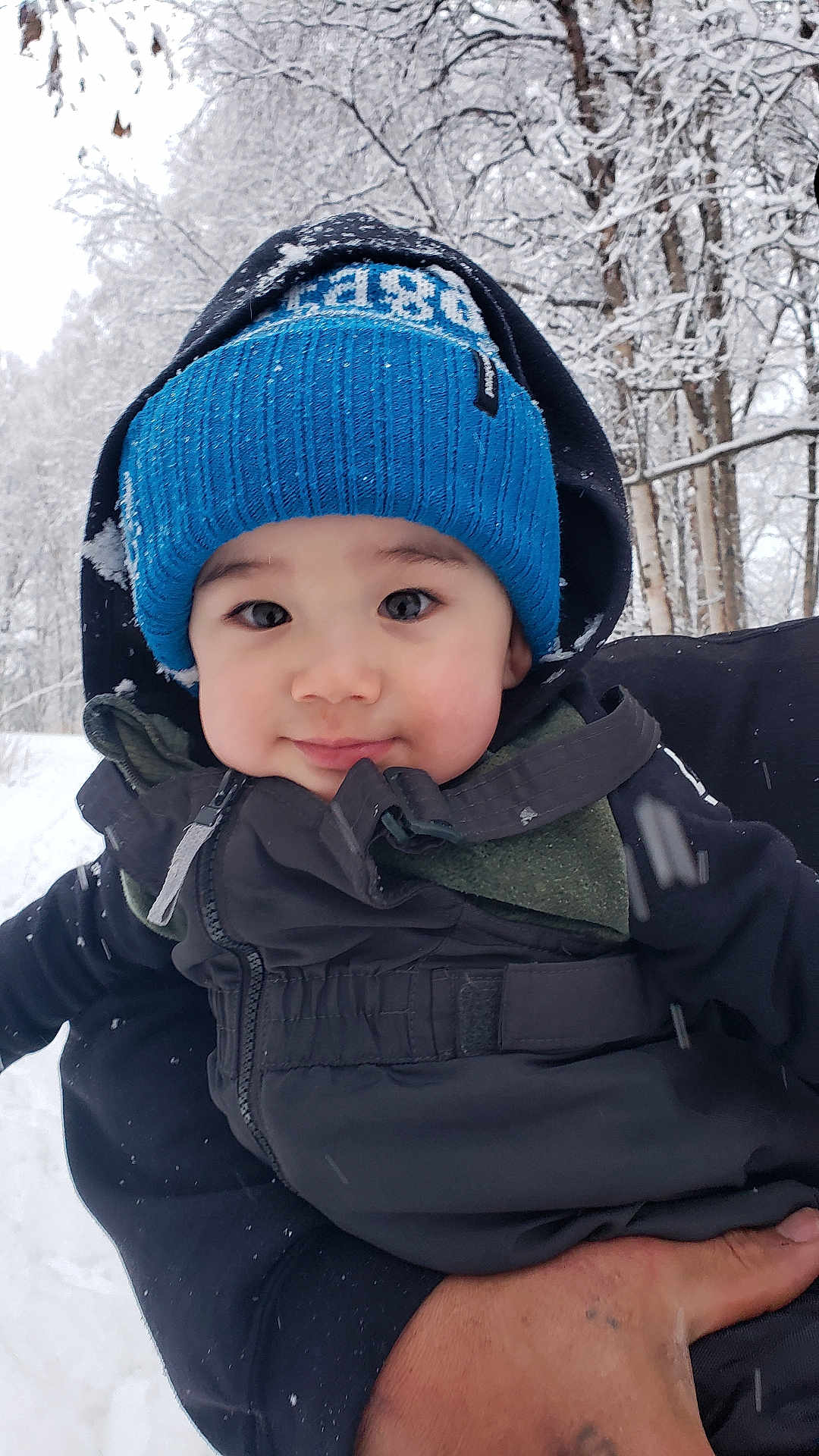 Jesse is registered to the contest to win money with this photo: toddler, child, winter_clothing, blue_hat, jacket, snow, snowflakes, forest, trees, outdoor, cold_weather, person, cute, face, portrait, smile, hand, holding, hood, nature
