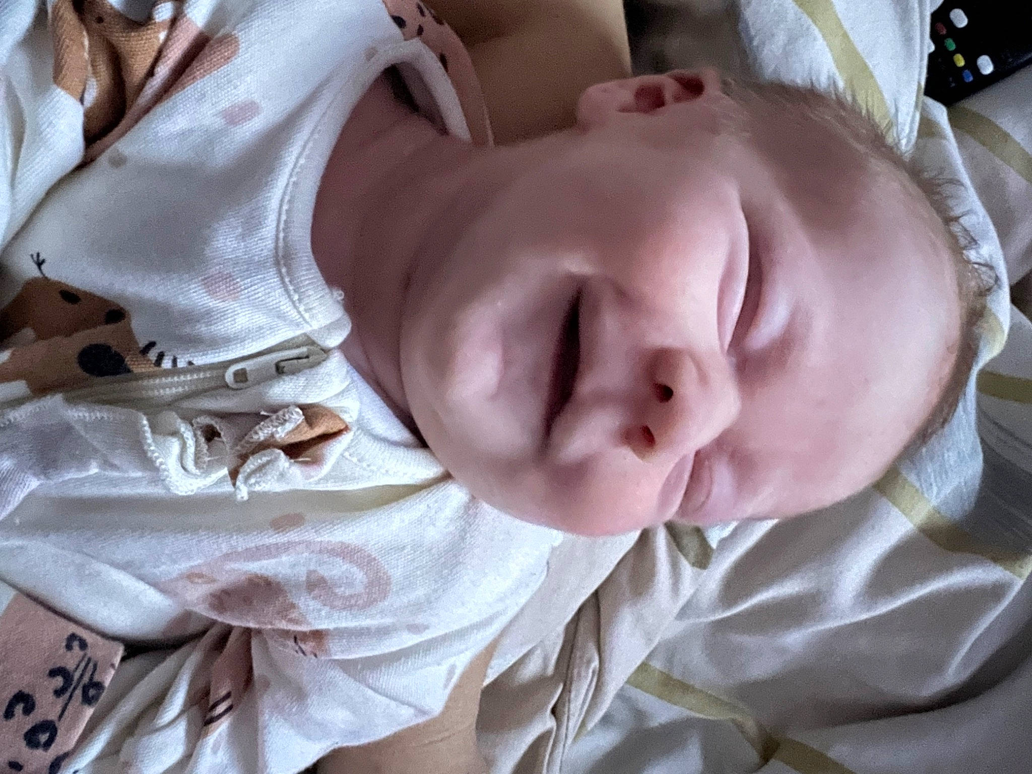 Arabella joined the competition — help win amazing prizes! arm, cheek, chin, comfort, ear, eye, eyebrow, eyelash, gesture, hand, head, human_body, lip, mammal, mouth, muscle, nose, person, skin, sleeve