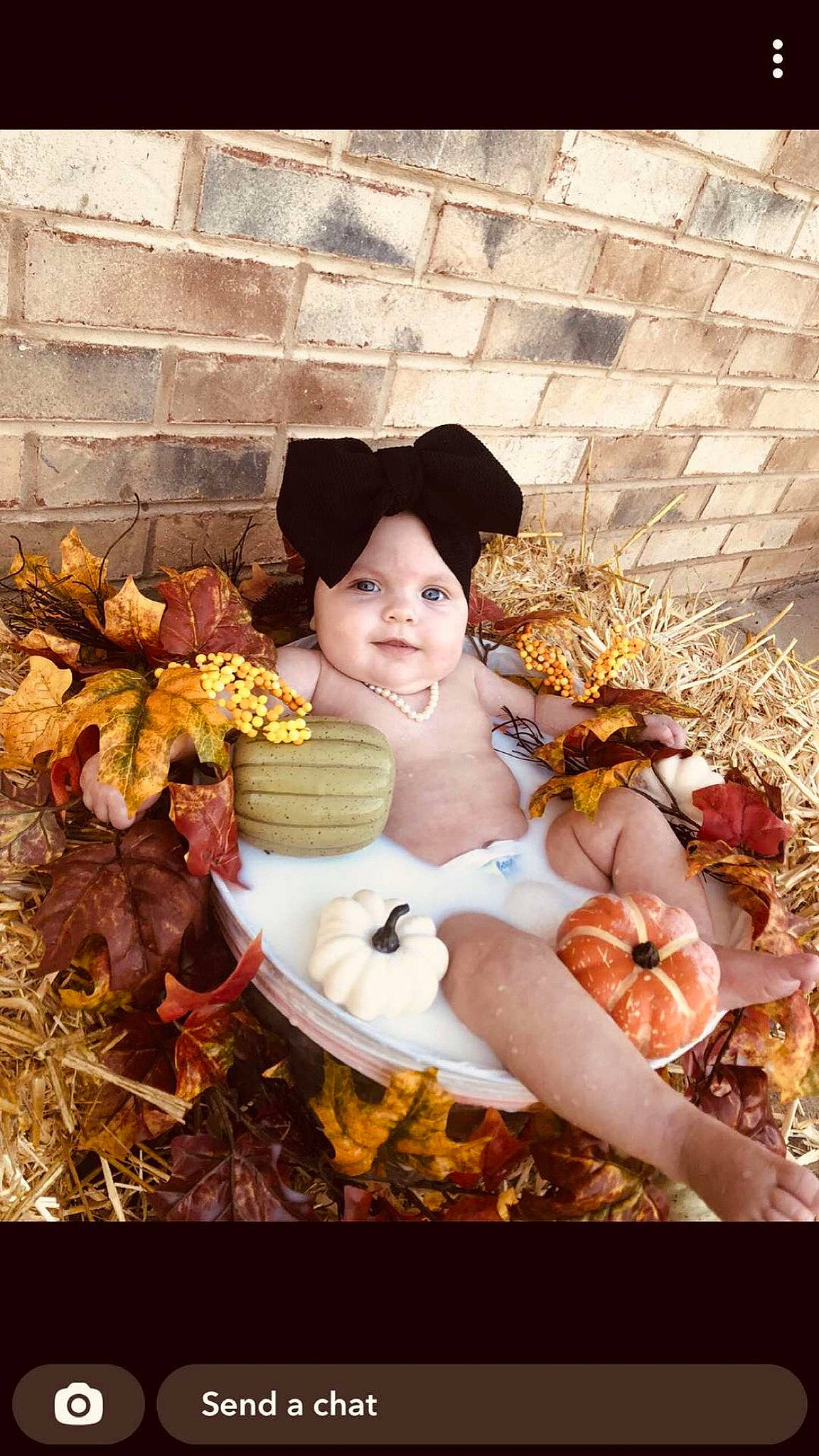 Timberlyn joined the competition — help win amazing prizes! autumn, baby, brick, cap, child, doll, fawn, grass, happy, hat, people_in_nature, person, portrait_photography, sitting, still_life, still_life_photography, stock_photography, sun_hat, toddler, toy