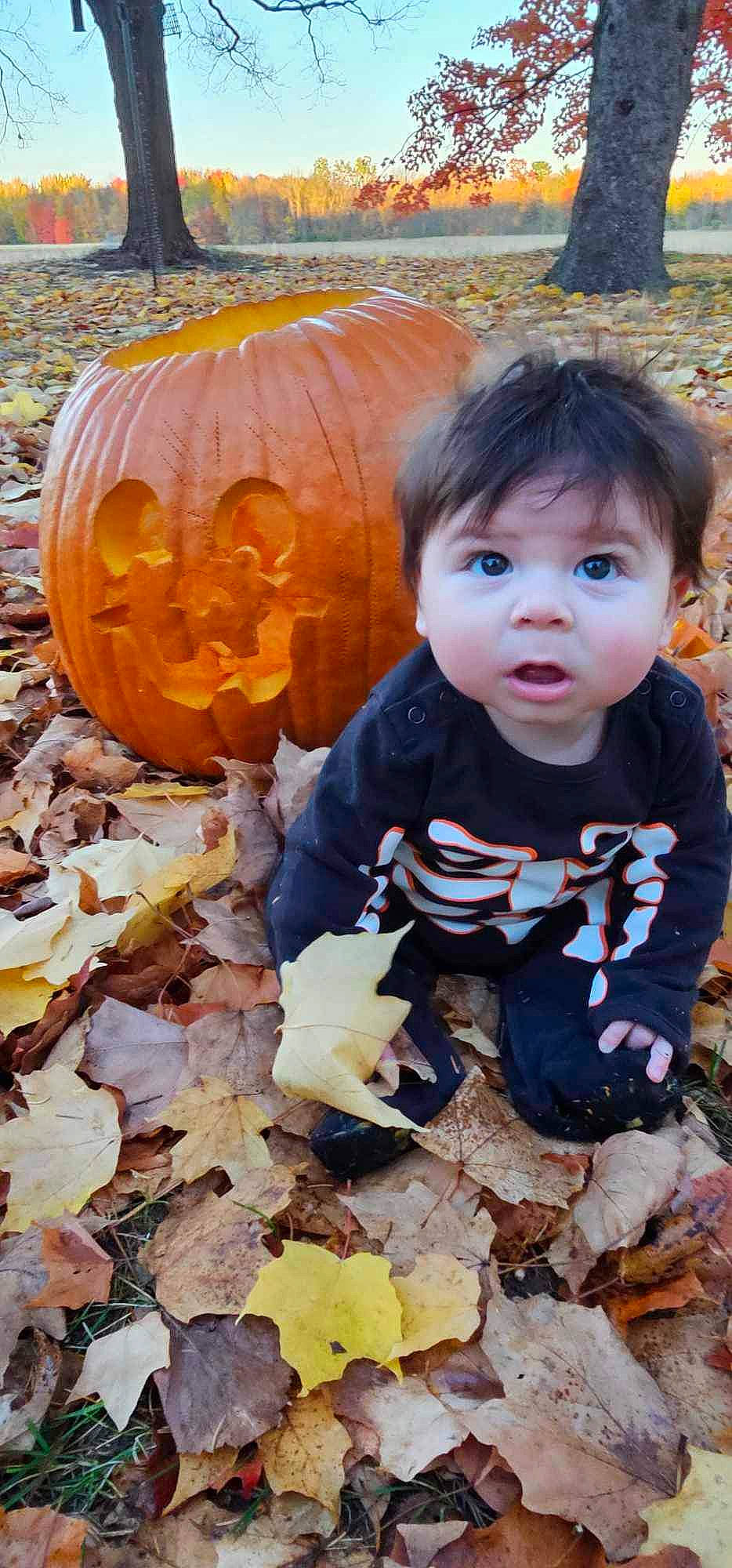 Roland joined the competition — help win amazing prizes! adaptation, baby_toddler_clothing, calabaza, child, cucurbita, deciduous, gourd, grass, happy, orange, organ, people_in_nature, person, plant, pumpkin, squash, surprise, toddler, tree, vegetable