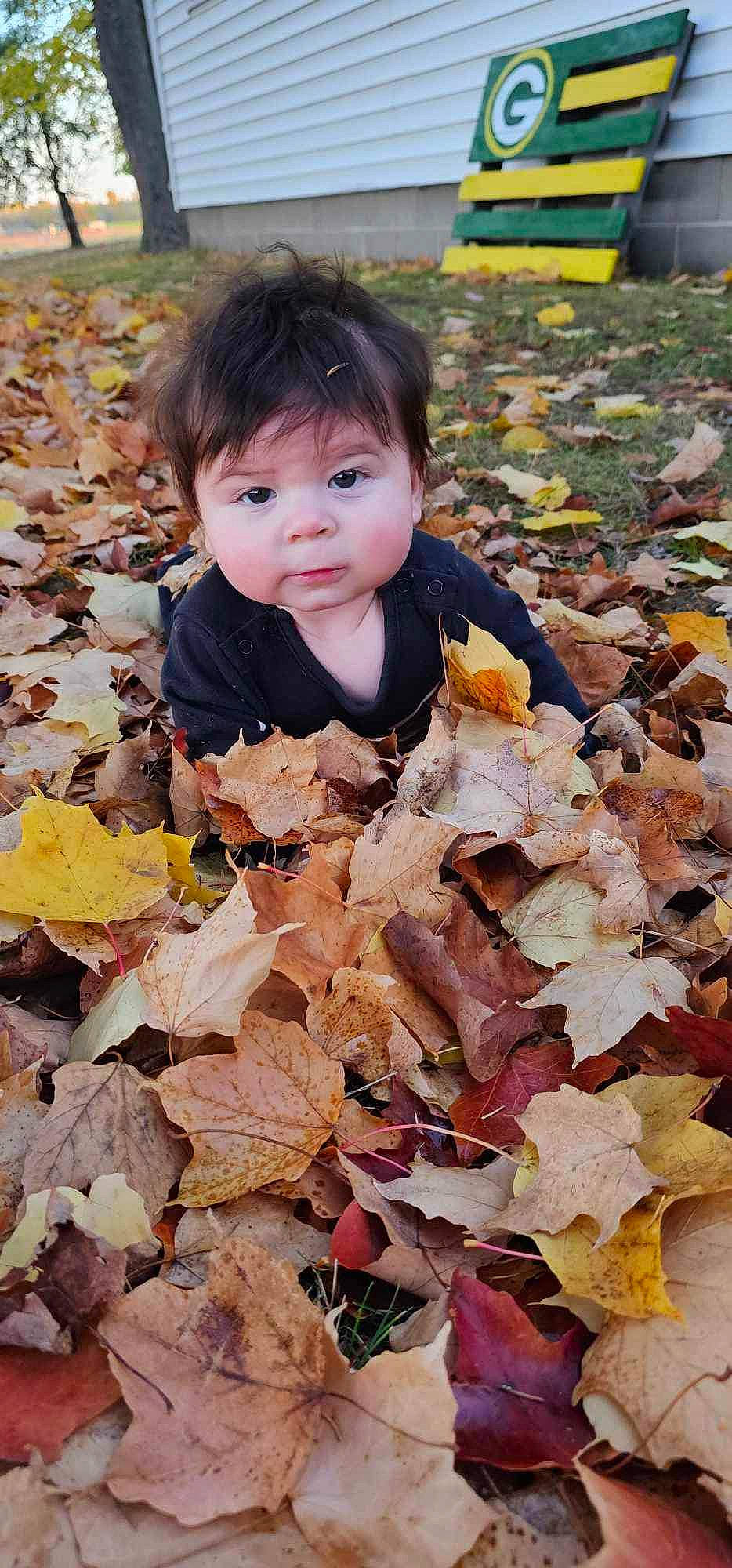 Roland is registered to the contest to win money with this photo: autumn, baby, beauty, botany, deciduous, grass, groundcover, happy, head, leaf, nature, people_in_nature, person, plant, soil, spring, toddler, tree, wilderness, wood