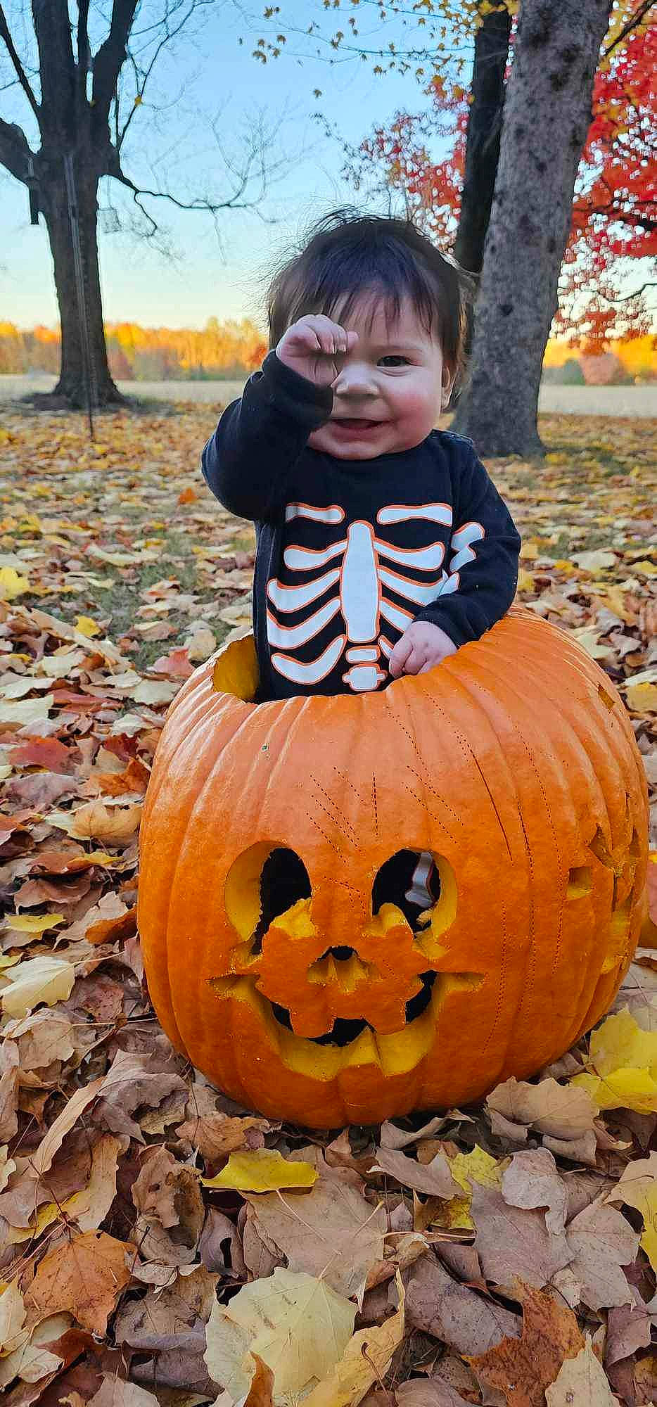 Roland is registered to the contest to win money with this photo: art, calabaza, cucurbita, eye, gourd, grass, head, jack_o_lantern, leaf, nature, orange, people_in_nature, person, photograph, plant, pumpkin, squash, toddler, tree, vegetable