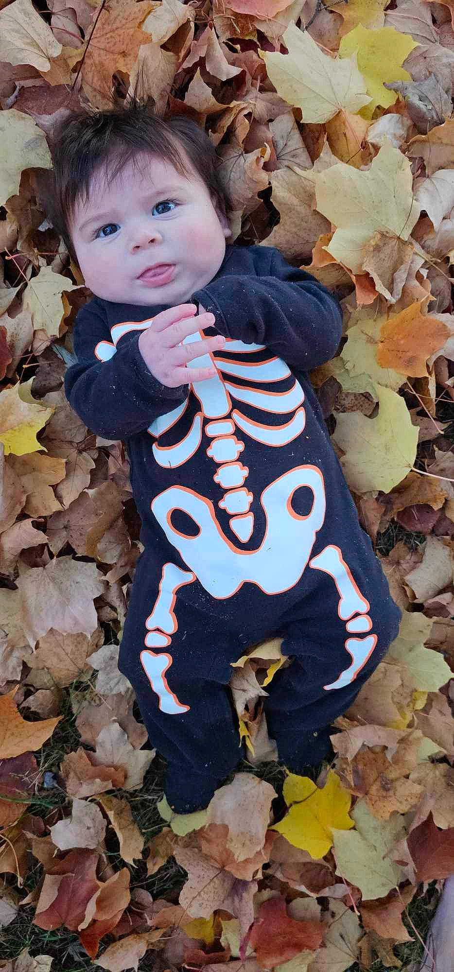 Roland joined the competition — help win amazing prizes! art, autumn, baby, baby_toddler_clothing, carmine, child, fur, grass, happy, pattern, people_in_nature, person, portrait_photography, rock, sitting, soil, terrestrial_animal, toddler, tree, wood