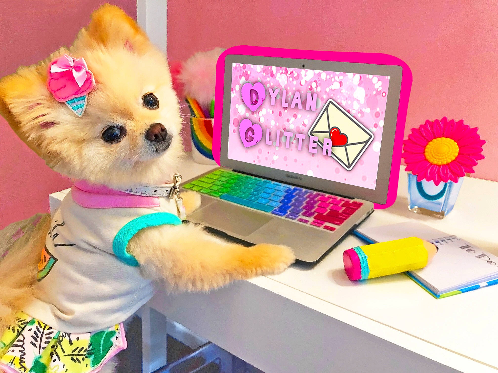 Dylan Glitter is registered to the contest to win money with this photo: carnivore, companion_dog, computer, computer_desk, desk, electronic_device, fawn, felidae, input_device, laptop, office_equipment, personal_computer, pink, purple, small_to_medium_sized_cats, snout, technology, toy, whiskers, yellow