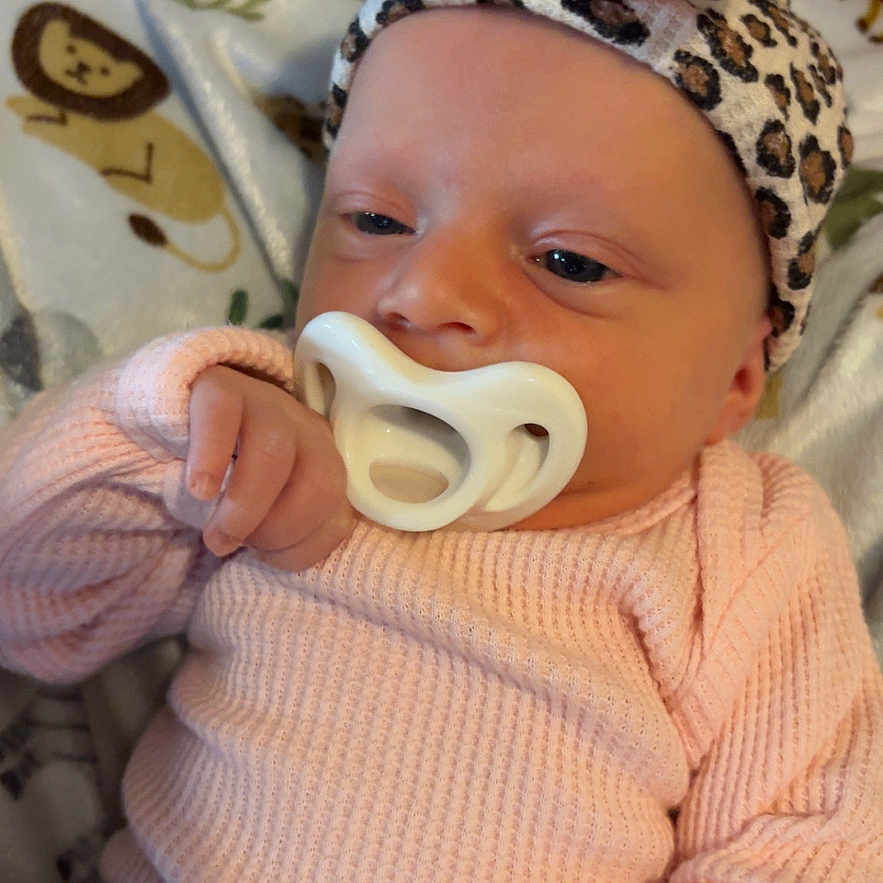 Amelia