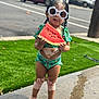 toddler, child, watermelon, sunglasses, green_swimsuit, vitiligo, barefoot, sidewalk, grass, summer, outdoor, street, cute, fun, food, fruit, playful, standing, sunny, daytime