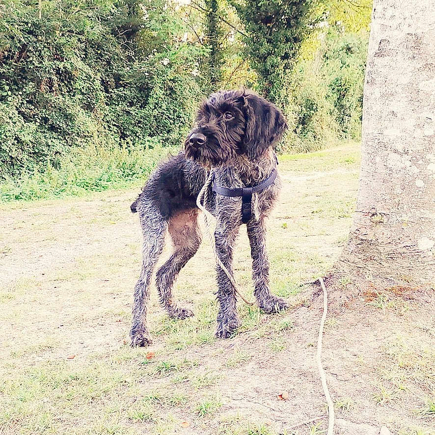 Ruby