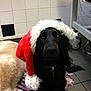 Kiara participe au concours pour gagner de l'argent avec cette photo :