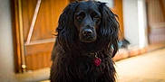 Kiara participe au concours pour gagner de l'argent avec cette photo :