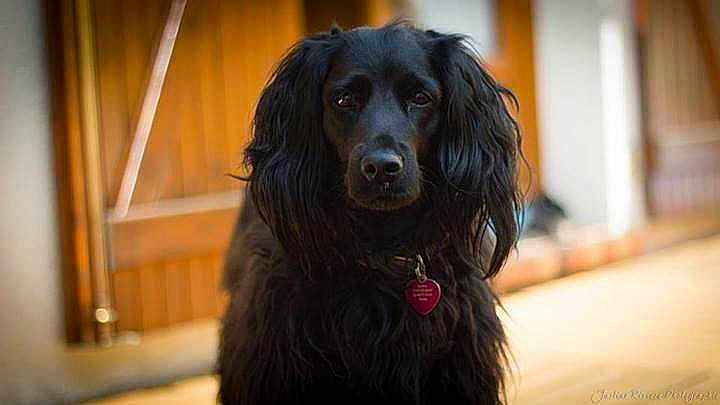 Kiara