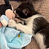 kitten, cat, black_and_white, plush_toy, mickey_mouse, blanket, blue, polka_dot, cuddling, nuzzling, soft_toy, cute, pet, animal, feline, bed, cozy, sleepy, indoor, young