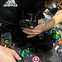Stormi is registered to the contest to win money with this photo: black_cat, cat, tongue_out, person, hand, marvel, marvel_pants, adidas, clothing, sitting, cute, pet, indoor, colorful, playful, animal, feline, holding, closeup, funny