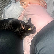 Stormi is registered to the contest to win money with this photo: baby, black_cat, person, tattoo, pink_clothing, couch, indoor, holding, legs, yellow_eyes, black_pants, ring, casual, comfort, pet, animal, close_up, home, relaxing, warmth