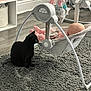 black_cat, baby, baby_swing, carpet, floor, indoor, toy, baby_clothes, furniture, home, curious_cat, resting_baby, soft_lighting, pastel_colors, quiet_moment, animal, pet, child, domestic, cozy