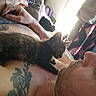 animal, blanket, casual, cat, chest, closeup, companion, hand, indoor, intimacy, kitten, light, man, pet, phone, relaxation, resting, sleeping, soft, tattoo
