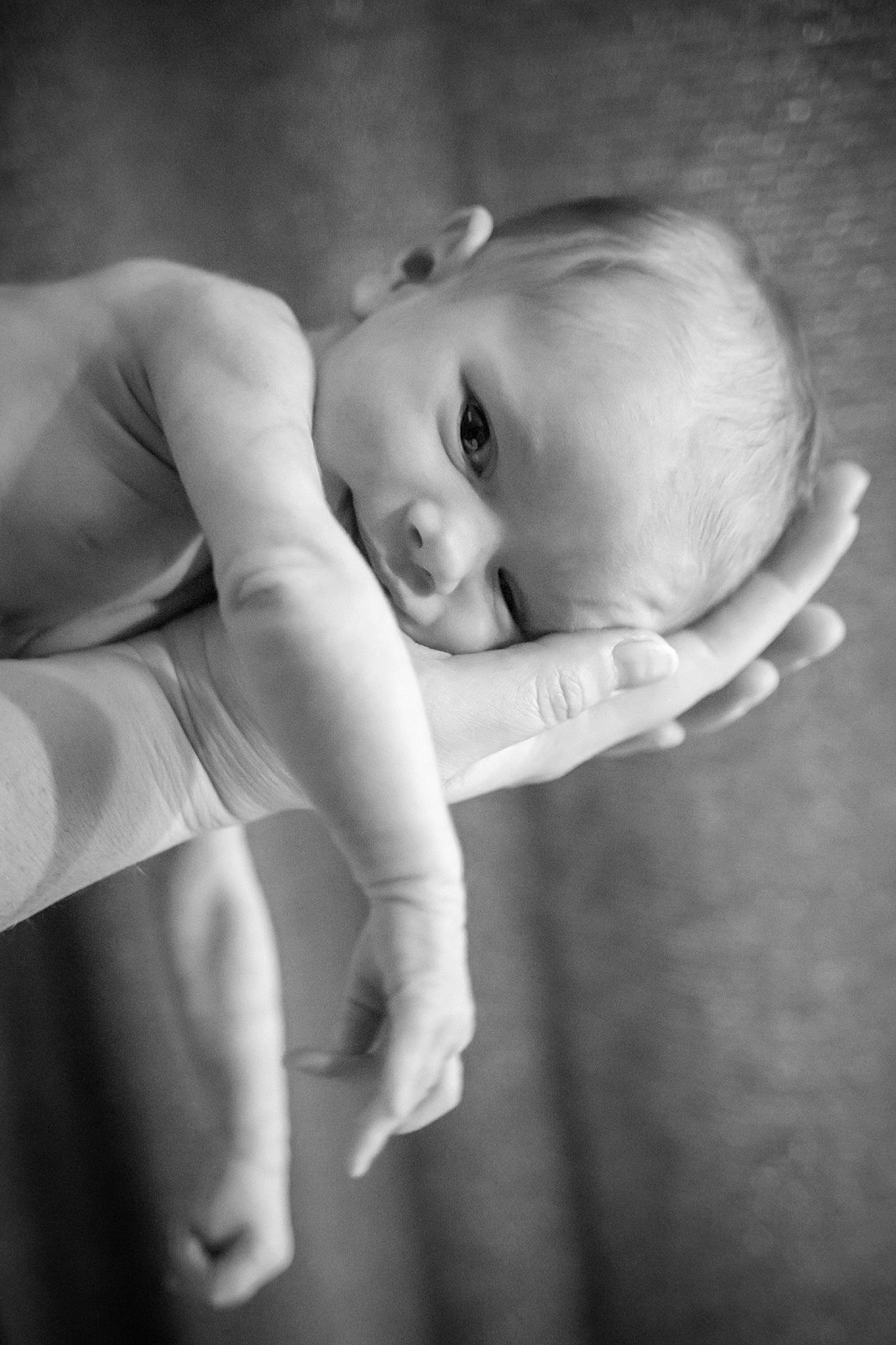 Burke is registered to the contest to win money with this photo: arm, baby, black, black_and_white, child, eye, face, finger, flash_photography, hand, monochrome, monochrome_photography, person, photograph, photography, portrait, portrait_photography, skin, stock_photography, toddler