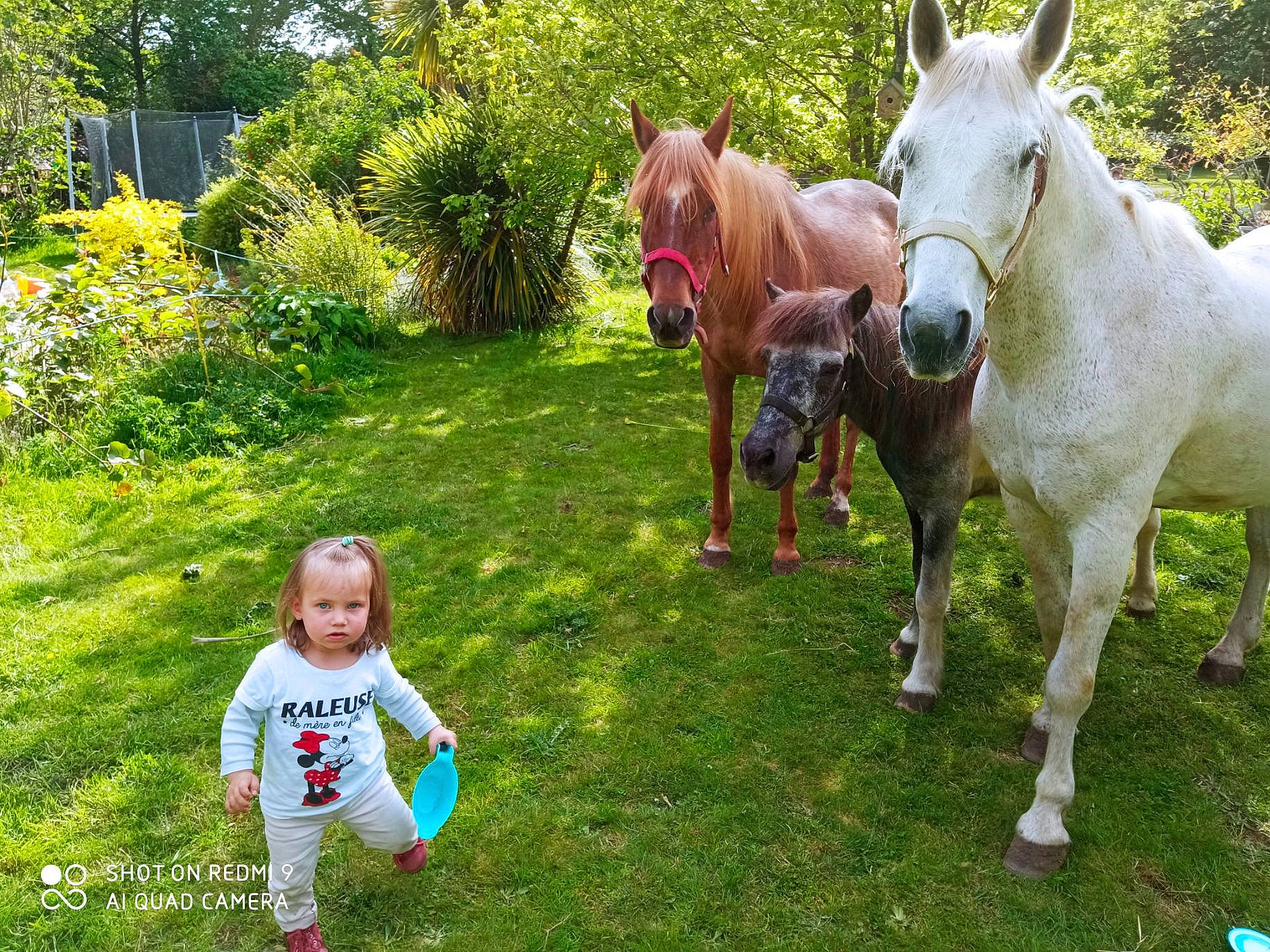 Blanche a rejoint le concours — aidez-le/la à gagner de superbes lots ! bridle, dog_breed, fawn, fun, grass, grassland, green, horse, horse_supplies, horse_tack, leisure, liver, pack_animal, people_in_nature, person, plant, recreation, rein, toddler, tree
