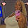 Mashawna P.