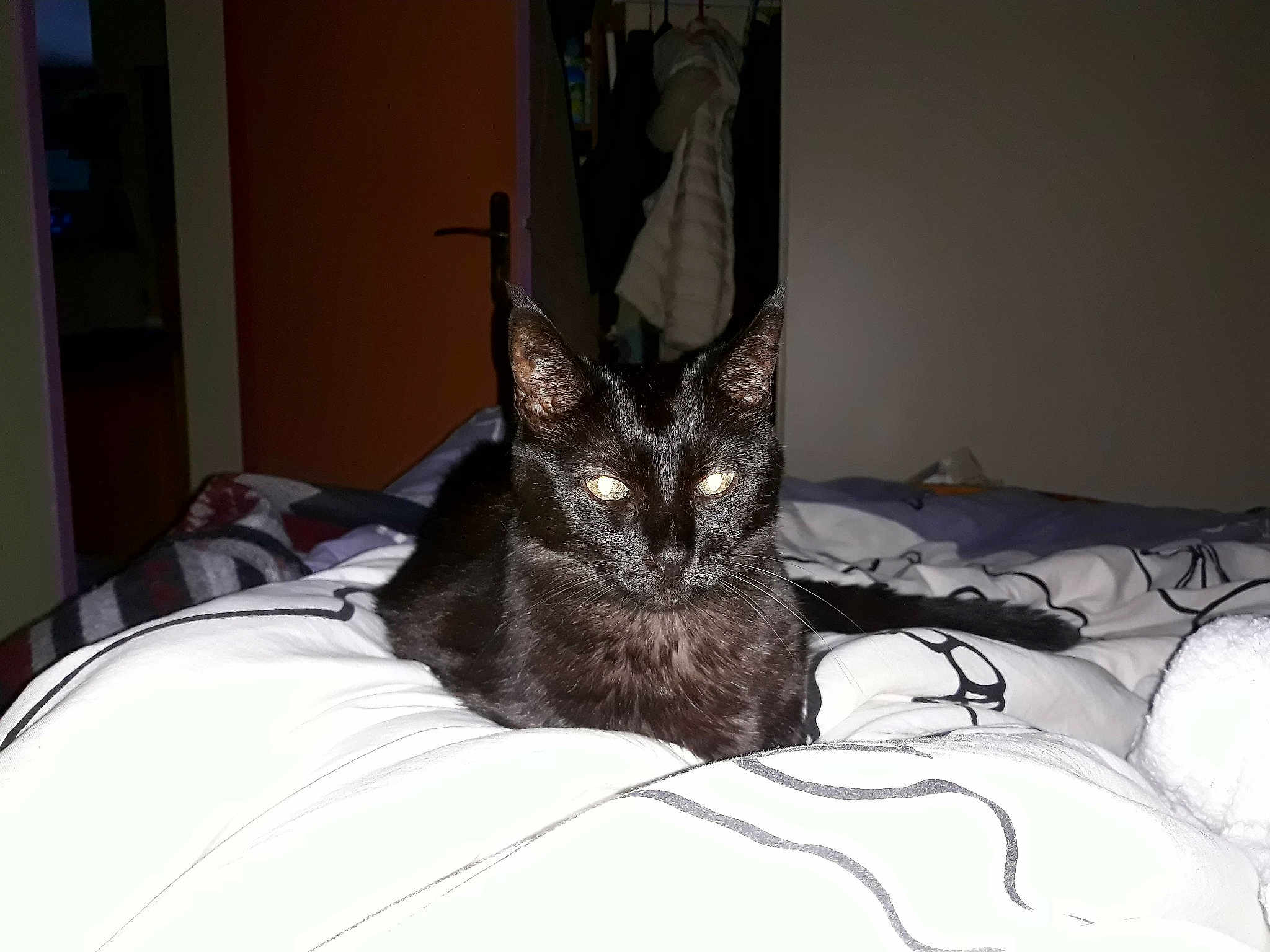 Louna
