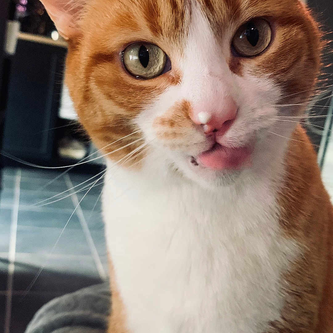 Luc