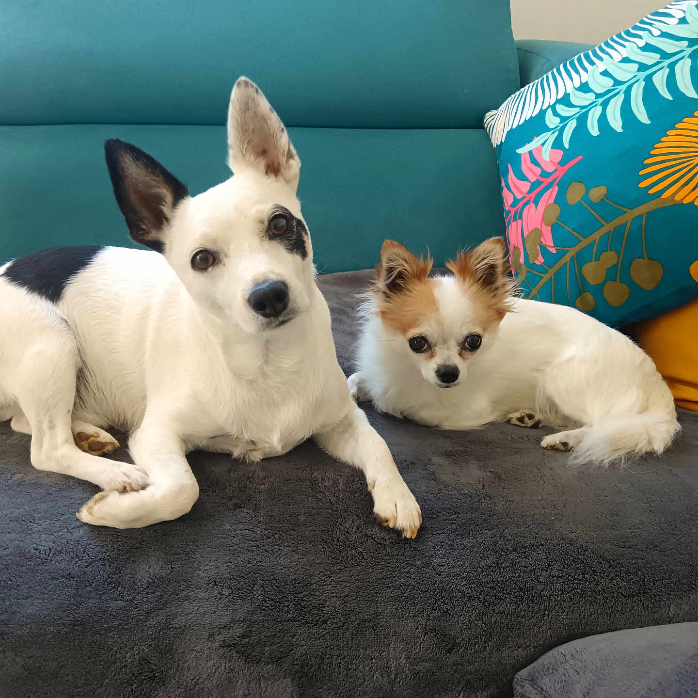 Twix Et Oreo