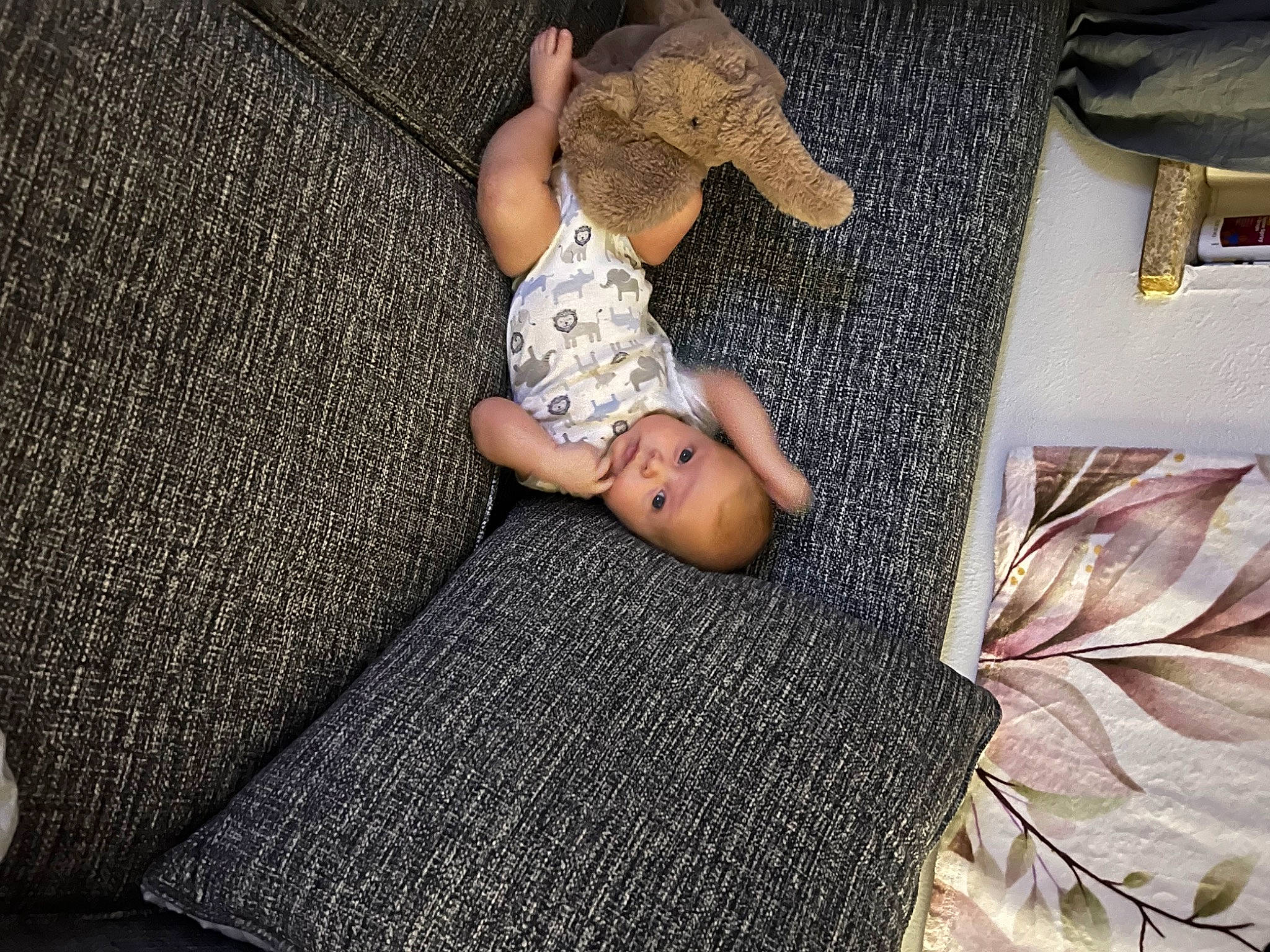 Odin is registered to the contest to win money with this photo: barefoot, carpet, child, comfort, doll, floor, flooring, foot, grey, human_leg, knee, linens, pattern, person, room, sitting, t_shirt, thigh, toddler, toy