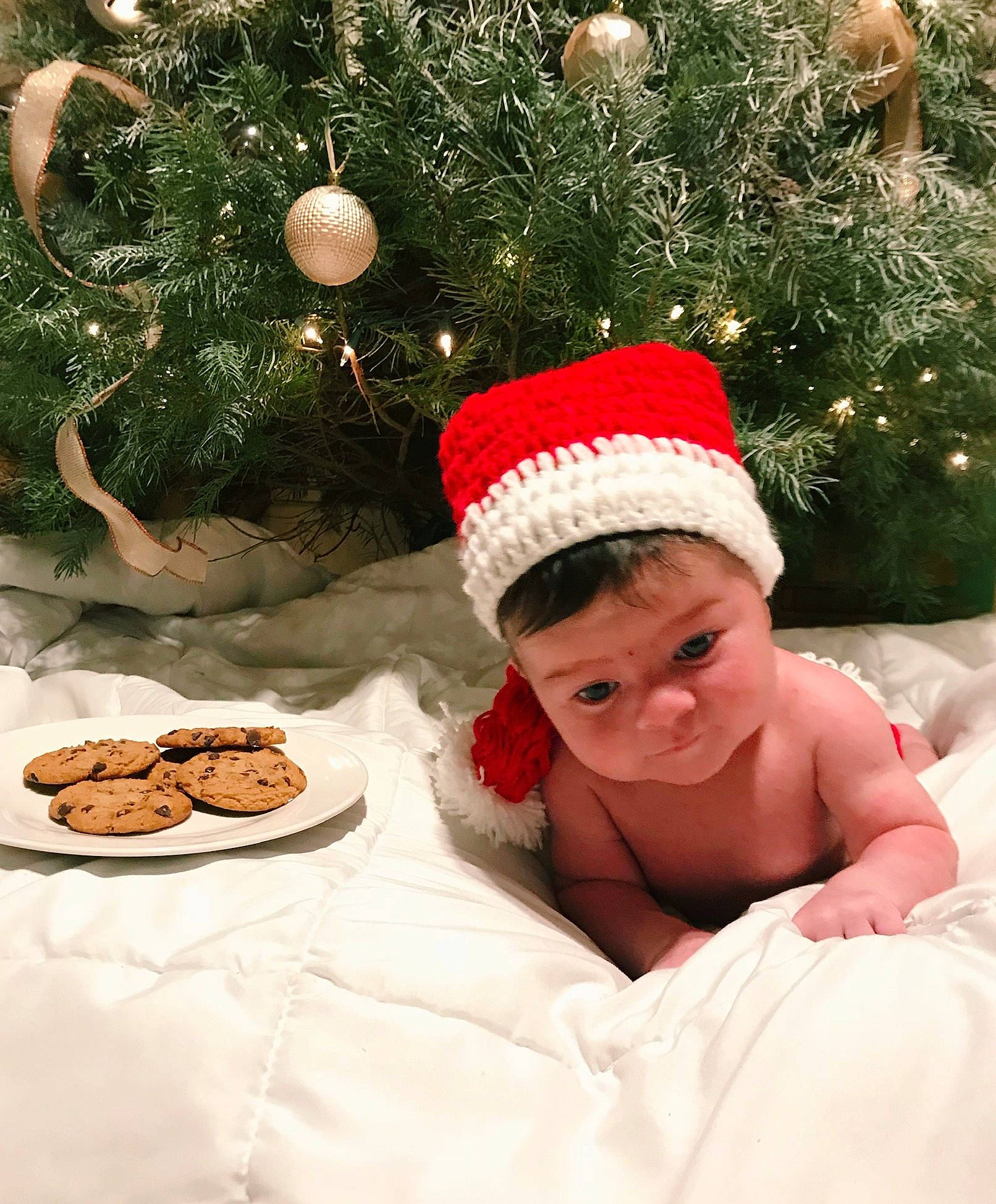 Alessandro joined the competition — help win amazing prizes! christmas, christmas_decoration, christmas_ornament, christmas_tree, headgear, holiday, person, tree