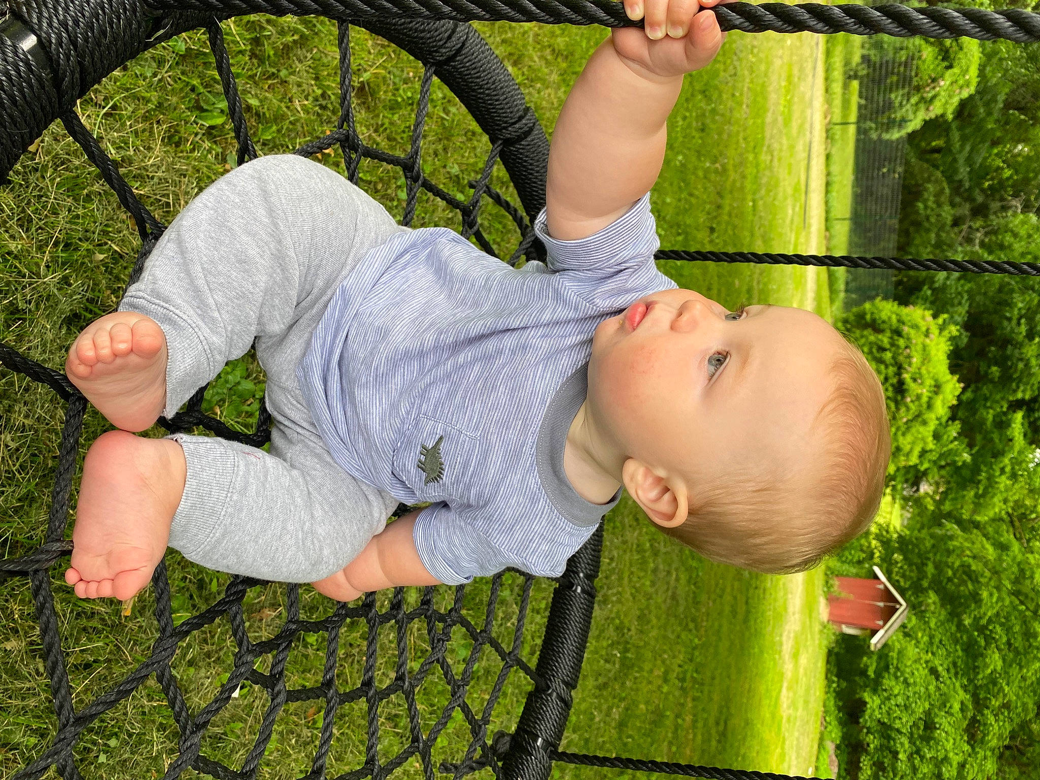 Deegan is registered to the contest to win money with this photo: arm, baby, child, facial_expression, finger, fun, grass, green, hand, happy, human_body, joint, leaf, leg, leisure, people_in_nature, person, plant, product, toddler