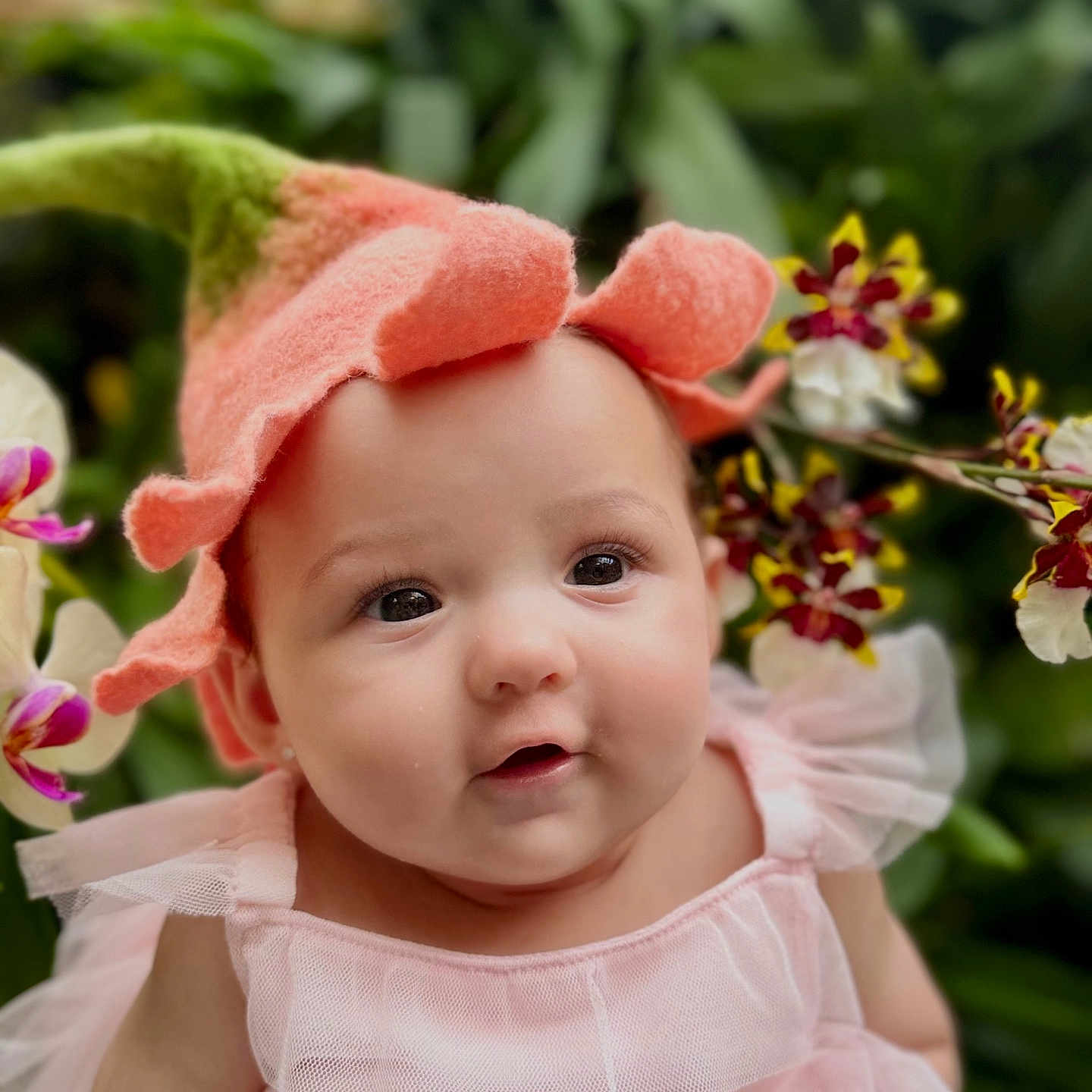 Thalya is registered to the contest to win money with this photo: baby, bonnet, cap, clothing, dress, face, flower, flowerarrangement, flowerbouquet, happy, hat, head, newborn, person, petal, photography, plant, portrait, smile, sunhat