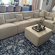 Nugget joined the competition — help win amazing prizes! living_room, sofa, sectional_sofa, ottoman, rug, cat, pillow, blanket, tray, glass, plant, window, curtain, chair, table, home_decor, natural_light, interior, cozy, relaxing