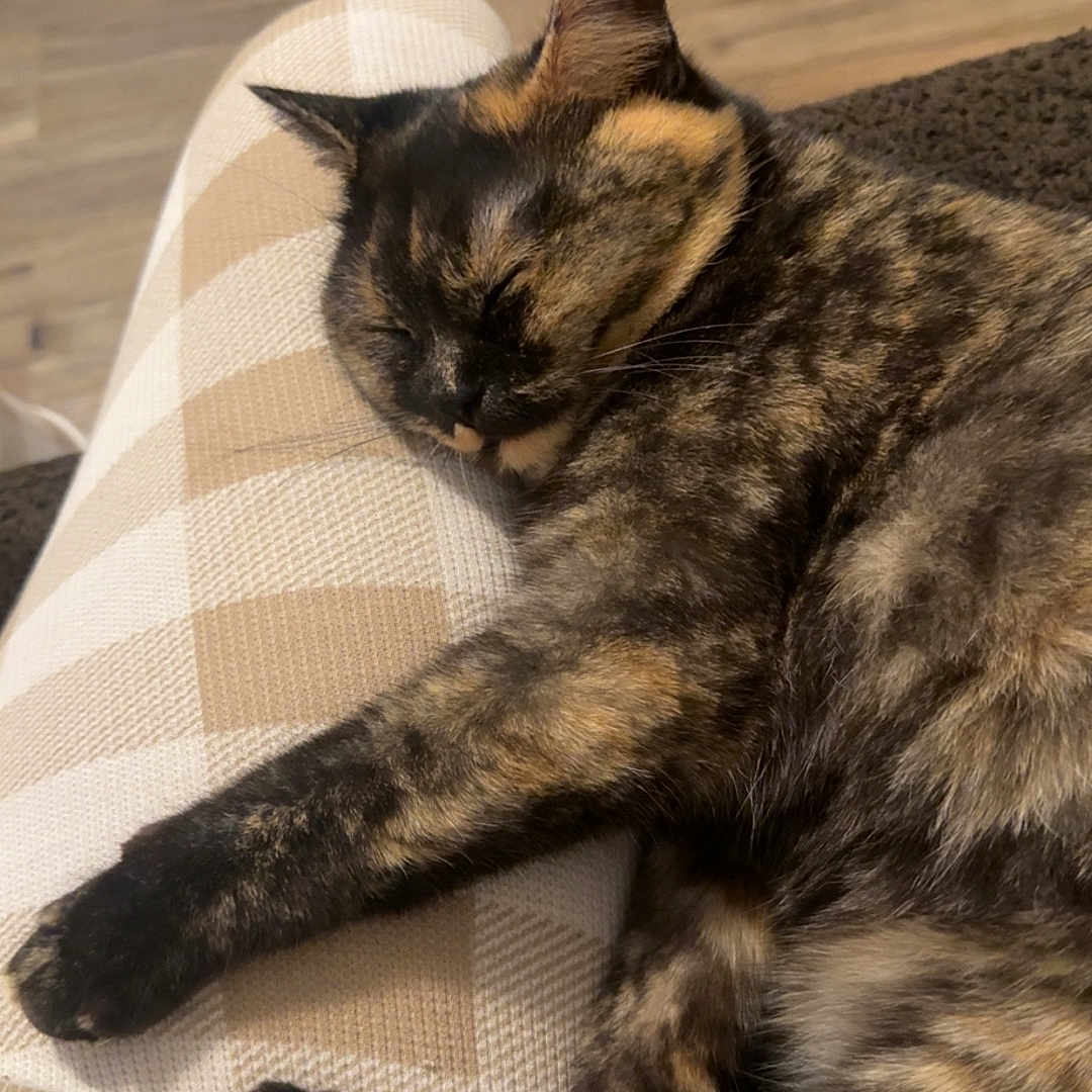 Luna