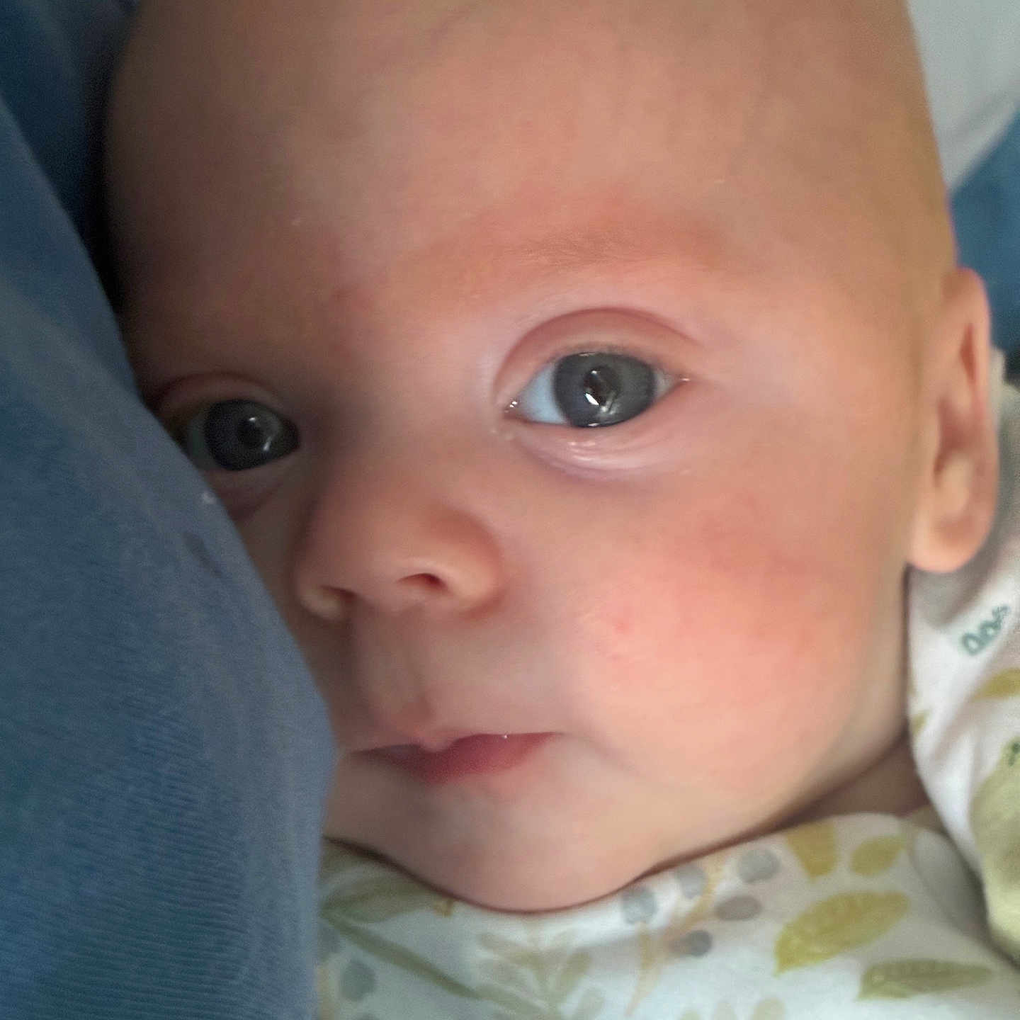 Daylen joined the competition — help win amazing prizes! baby, blue, close_up, clothing, cuteness, expression, eyes, fabric, face, head, indoors, infant, leaf_pattern, looking, newborn, person, portrait, skin, soft, young_child
