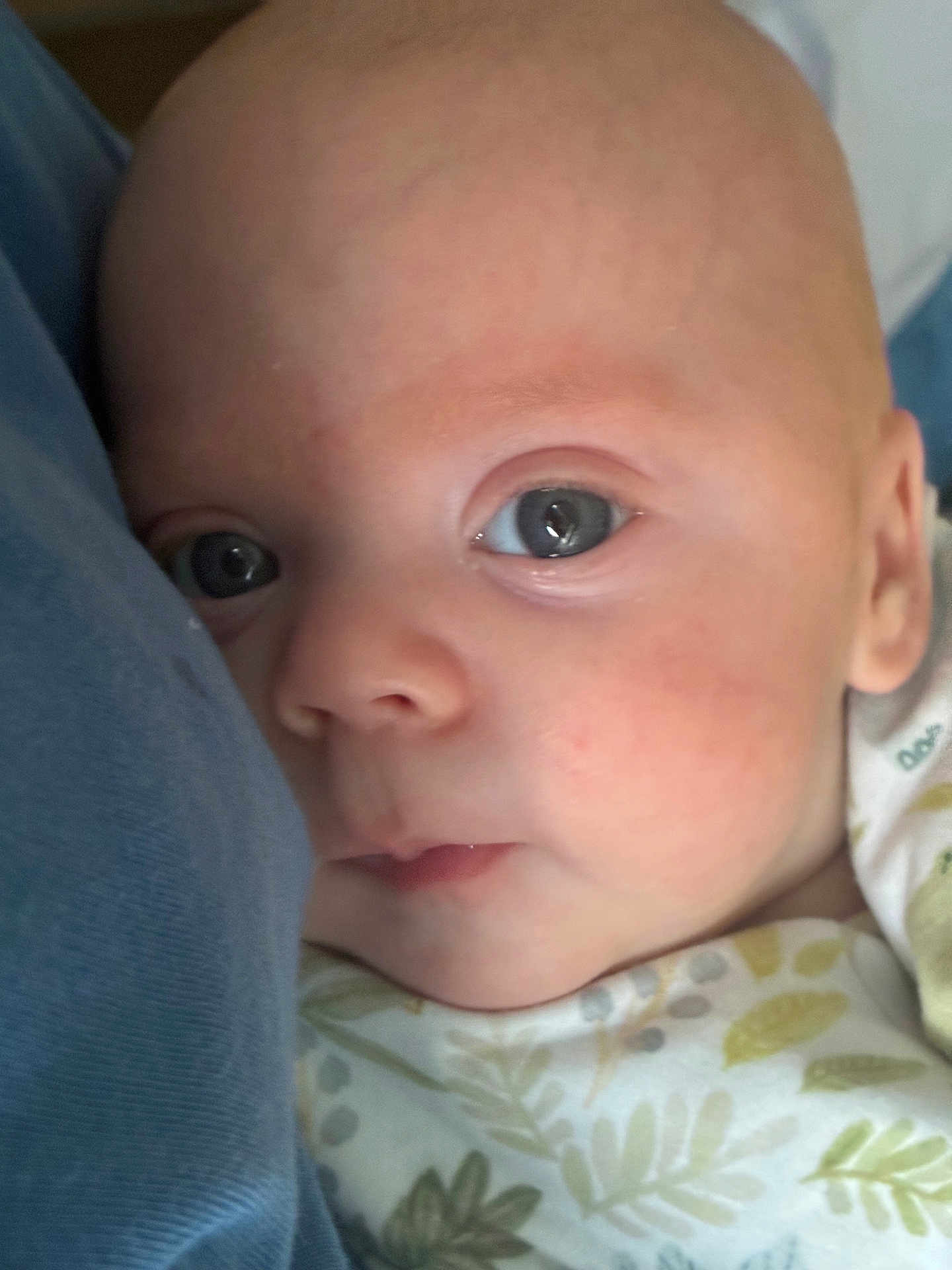Daylen joined the competition — help win amazing prizes! baby, close_up, face, infant, blue, fabric, eyes, expression, skin, clothing, newborn, leaf_pattern, soft, portrait, cuteness, person, head, young_child, looking, indoors
