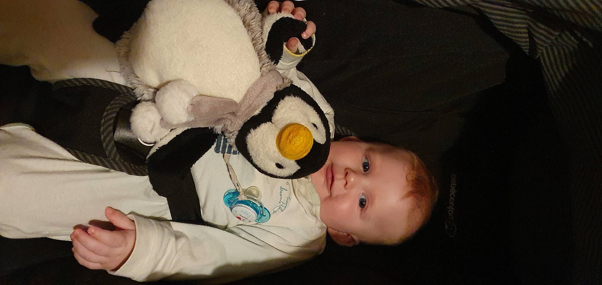 Tenessee participe au concours pour gagner de l'argent avec cette photo : baby, baby_products, baby_toddler_clothing, baby_toys, cheek, child, comfort, event, fun, fur, happy, headgear, nose, person, plush, room, stuffed_toy, teddy_bear, textile, toddler