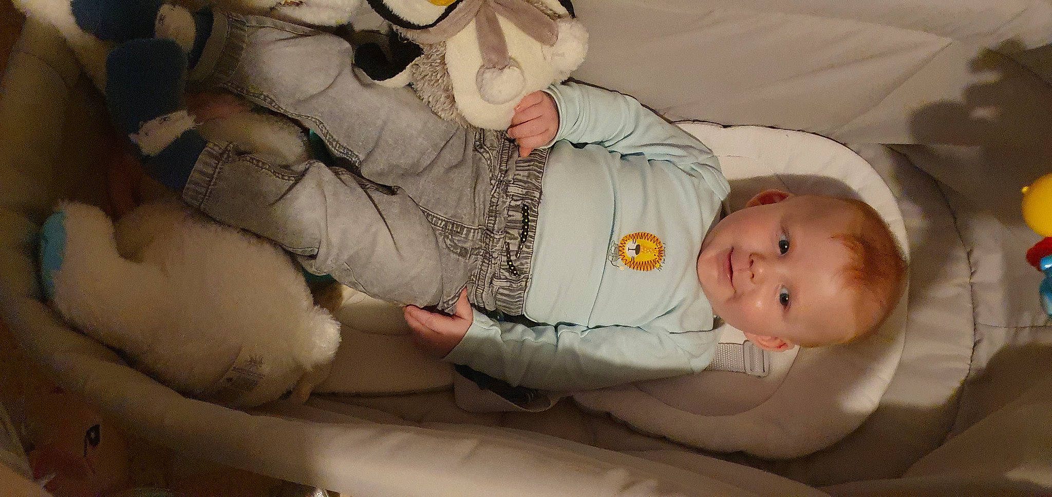 Tenessee participe au concours pour gagner de l'argent avec cette photo : arm, baby, baby_products, baby_sleeping, baby_toddler_clothing, cheek, child, comfort, finger, fur, gesture, hand, human_body, joy, mouth, person, room, sitting, skin, sleeve