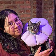 Pandan is registered to the contest to win money with this photo: person, cat, tabby_cat, flower_collar, pillow, glasses, brick_wall, indoor, portrait, pet, hands, long_hair, sweatshirt, whiskers, fur, purple_lighting, holding, cute, muzzle, costume