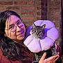 person, cat, tabby_cat, flower_collar, pillow, glasses, brick_wall, indoor, portrait, pet, hands, long_hair, sweatshirt, whiskers, fur, purple_lighting, holding, cute, muzzle, costume