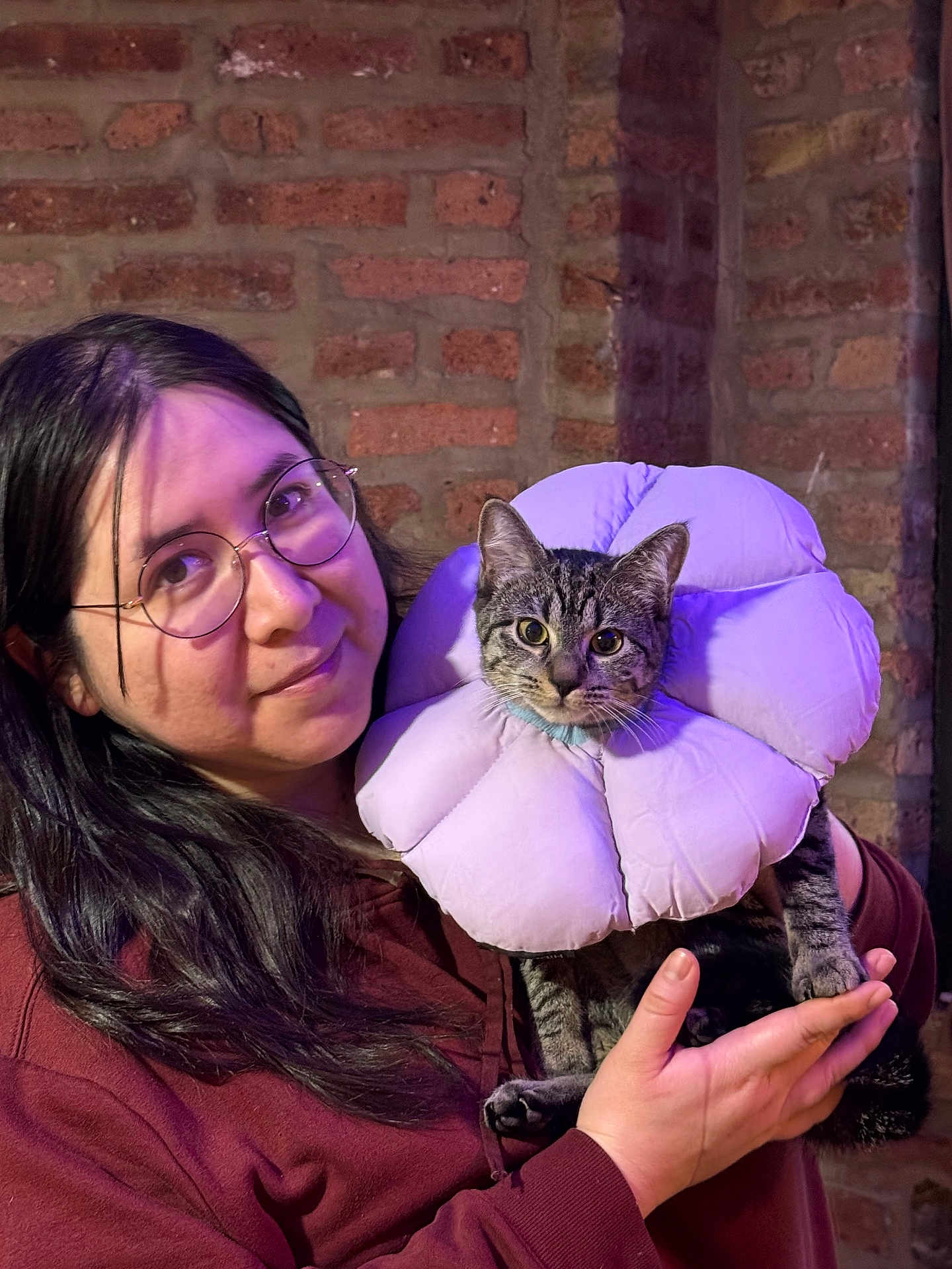 Pandan is registered to the contest to win money with this photo: person, cat, tabby_cat, flower_collar, pillow, glasses, brick_wall, indoor, portrait, pet, hands, long_hair, sweatshirt, whiskers, fur, purple_lighting, holding, cute, muzzle, costume