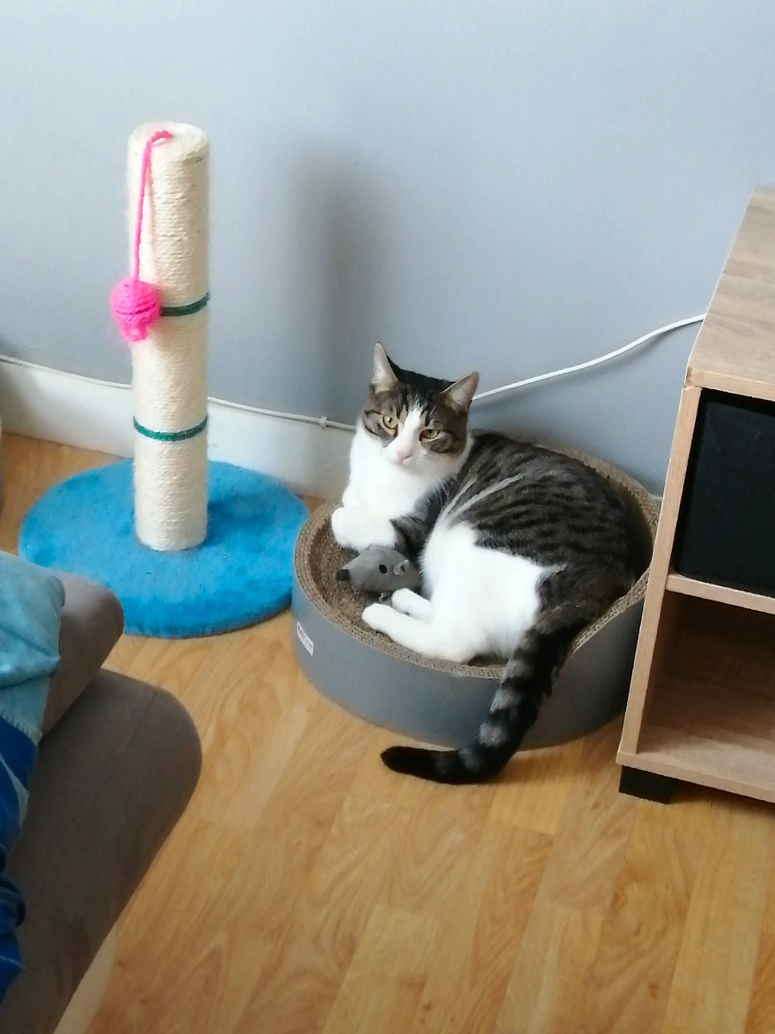 Loky