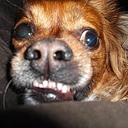 Ruby joined the competition — help win amazing prizes!