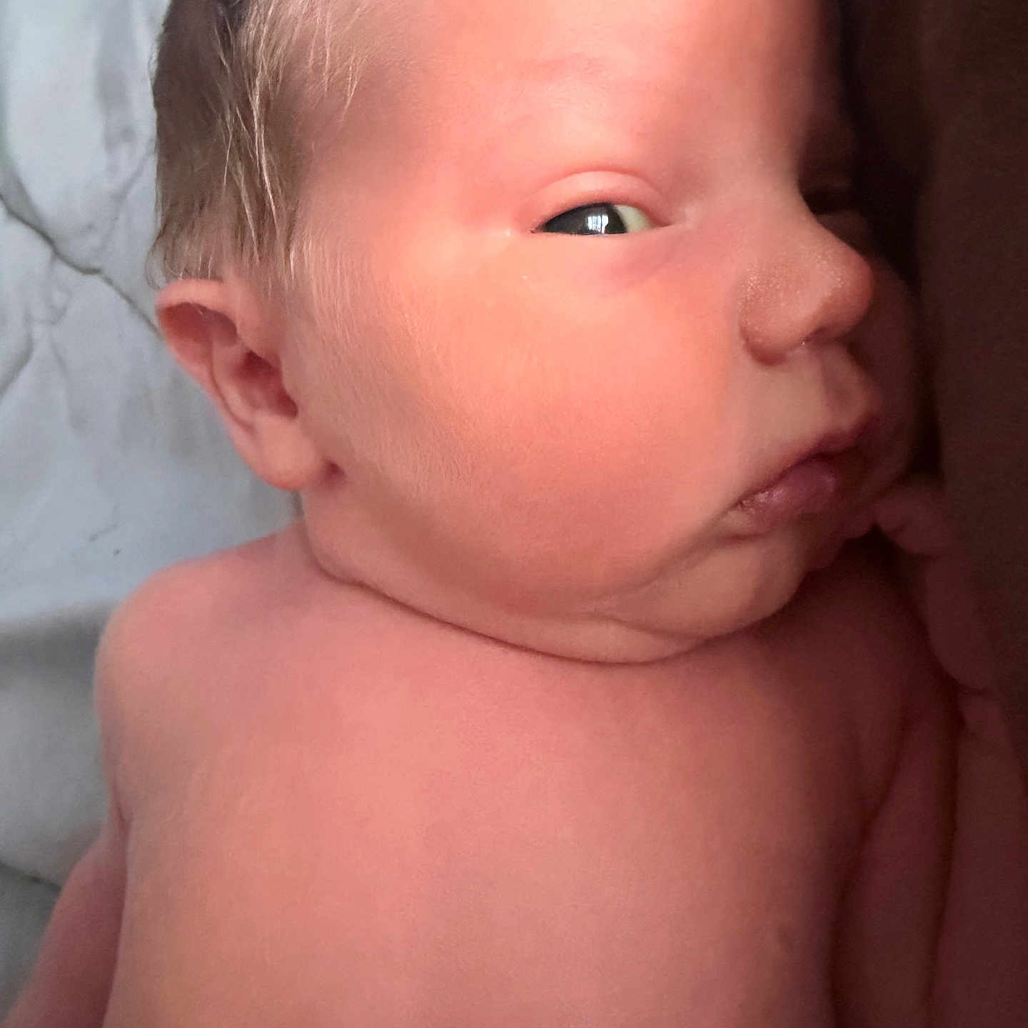 Elijah is registered to the contest to win money with this photo: newborn, baby, infant, portrait, face, head, eye, nose, ear, skin, sleepy, side_profile, bare_shoulders, close_up, bedding, blanket, indoor, resting, photography, person