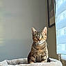 Pixie participe au concours pour gagner de l'argent avec cette photo :