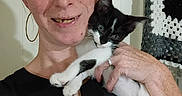 Oreo joined the competition — help win amazing prizes! animal, black_and_white_cat, casual_clothing, close_up, crocheted_blanket, cute, domestic, face, freckles, hand, happy, holding, hoop_earrings, indoor, kitten, person, pet, portrait, smiling, woman