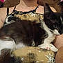 Oreo joined the competition — help win amazing prizes! kitten, cat, person, lap, indoor, feline, black_and_white, pet, animal, young_cat, fur, whiskers, clothing, patterned_top, stars, moon, sitting, couch, relaxed, cozy