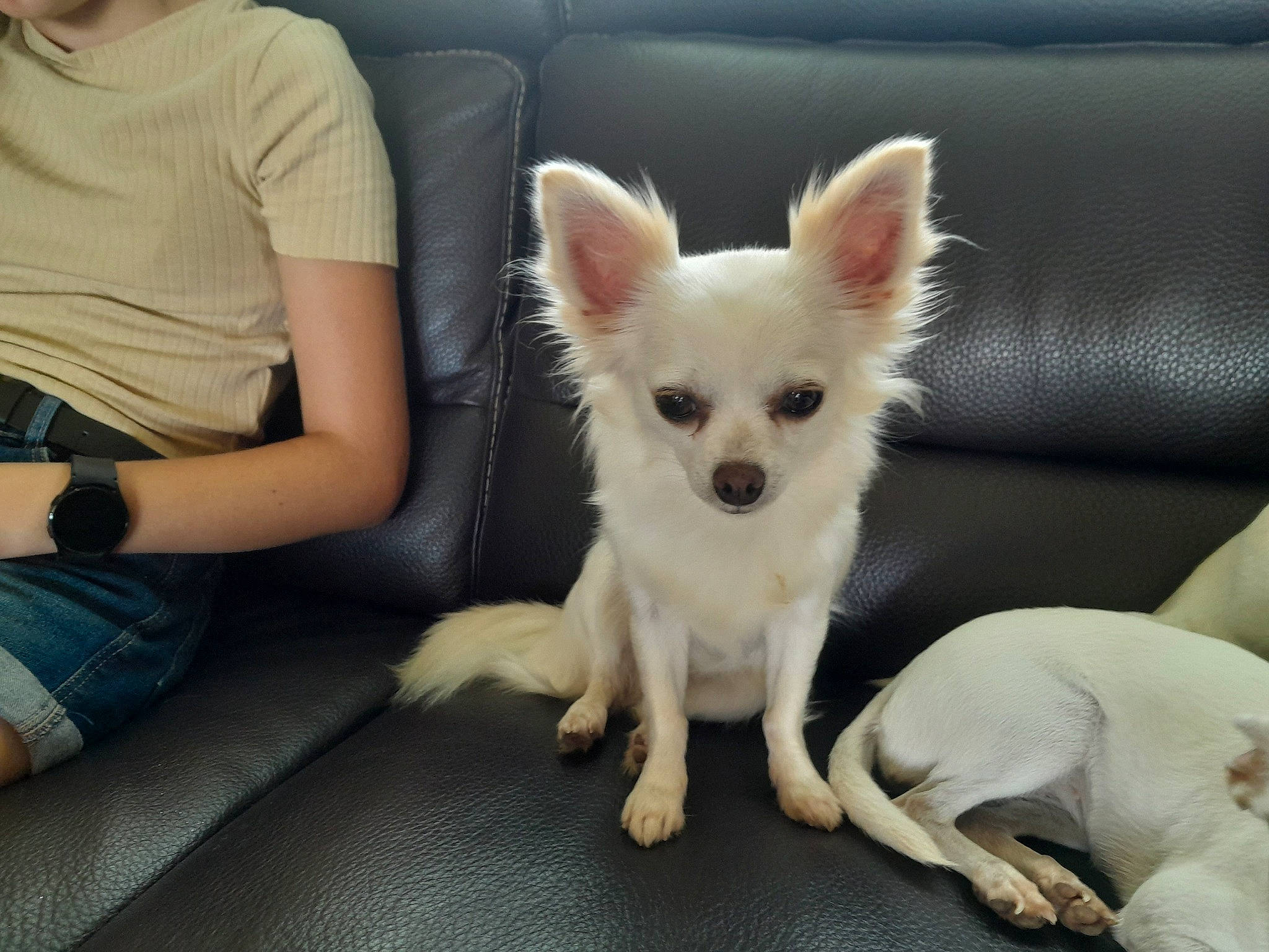 Kaly a rejoint le concours — aidez-le/la à gagner de superbes lots !