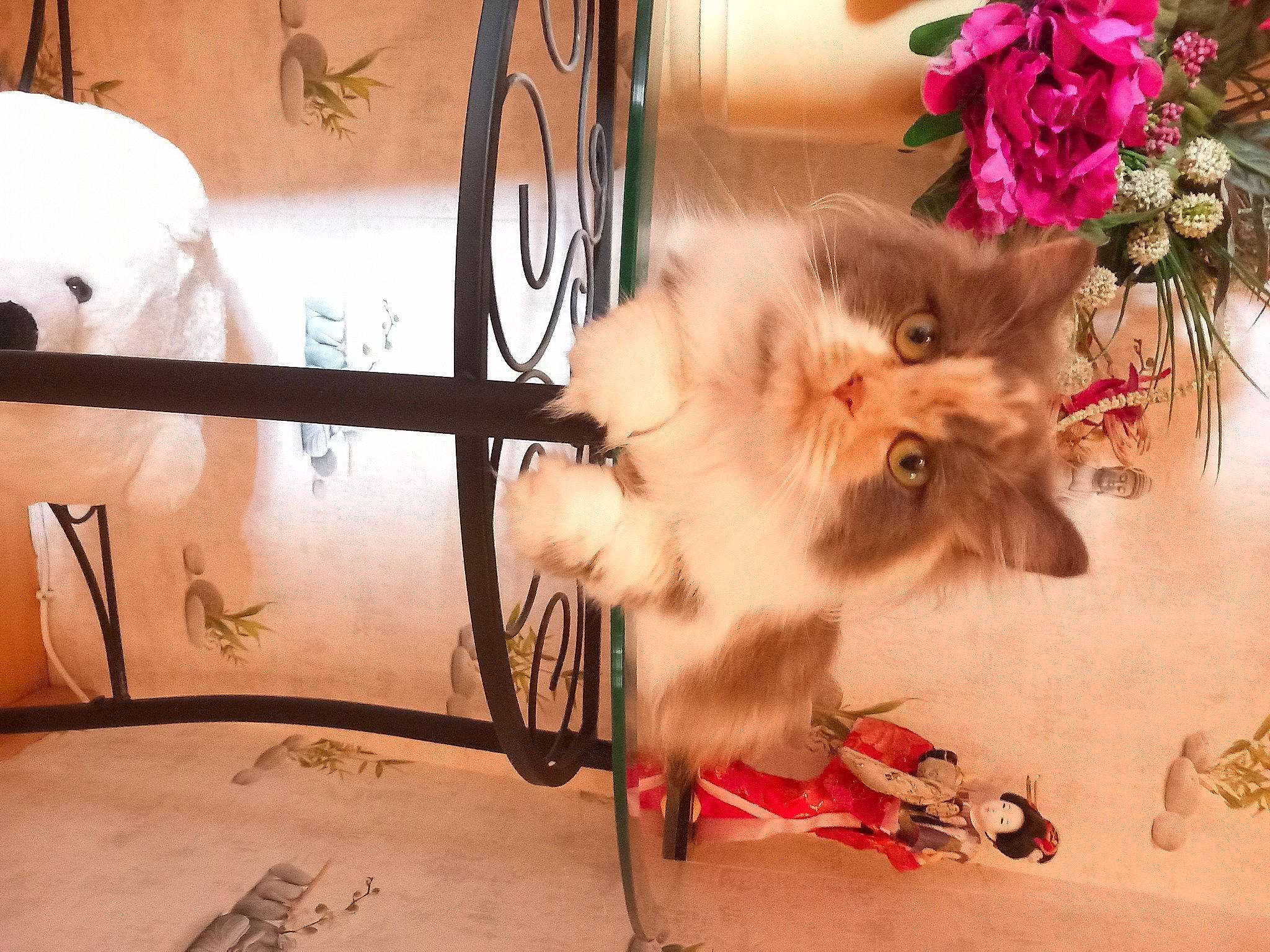 Juliette a rejoint le concours — aidez-le/la à gagner de superbes lots ! art, canidae, carnivore, cat, companion_dog, fashion_accessory, fawn, felidae, flooring, flower, flower_arranging, font, fur, metal, paw, petal, small_to_medium_sized_cats, tail, whiskers, winter