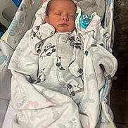 Jasper is registered to the contest to win money with this photo: newborn, baby, sleeping, blanket, onesie, panda, bassinet, pacifier, infant, cozy, soft, cute, child, resting, wrapped, fabric, indoor, peaceful, young, person